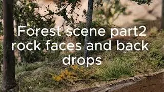 Forest scene part 2  rock faces and back drops