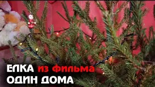ГДЕ КУПИТЬ НОВОГОДНЮЮ ЁЛКУ в ПЕТРОПАВЛОВСКЕ!?