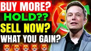 Buy More? Hold? Sell Now? What did you gain? Shiba Inu Insider News Today!shiba inu coin news today!