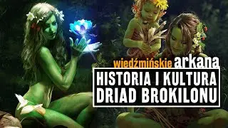 Wszystko co wiemy o DRIADACH z Wiedźmina!