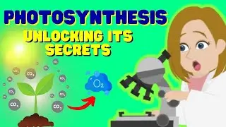 What is photosynthesis and why is it important