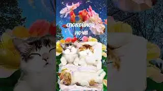 Спокойной ночи! 