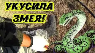 Вот это ПРОБЛЕМЫ! Металлокоп на нервах. #hunting #заработок #коп #металлокоп #treasure #котокоп