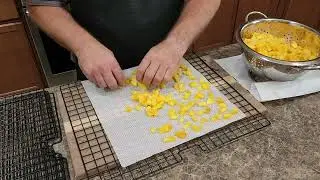 Dehydrated Peaches - for vanilla ice cream
