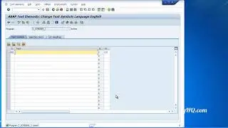 090 Selection Screens Text Symbols