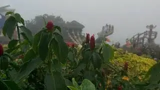 Себу/о.Корон, Филиппины Cebu/Coron, Philippines
