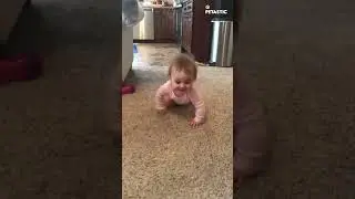 Mischievous Kitten's Surprise Attack | Hilarious Video! 😹