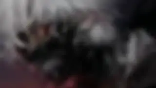 Gedz - Chaos (prod. Grrracz)