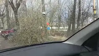 Аварийное дерево на детской площадке. Спилили и увезли на следующий день после звонка в 112