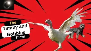 The Timmy and Gobbles Show