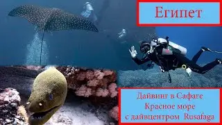Дайвинг в Египте (Сафага) с дайв-центром Rusafaga