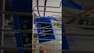 Câți Km fuge un hamster pe noapte? #hamster #experiment #distance