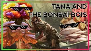 Tana and The Bonsai Boys - Kediss Tana Partner Commander Deck Tech || A POWERFUL DUO
