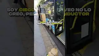 I'm blind and if I don't see it I don't believe it, but neither does this driver 🚌🐶