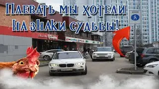 СтопХам-Попугайчик Кеша