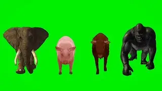 elephant,pig,cow,gorilla running green screen video | animal race green screen stampede 