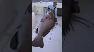 Ничего себе улов! Приколы ТикТок 🤣