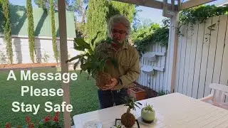 An iCultivate Message  -  Please Stay Safe