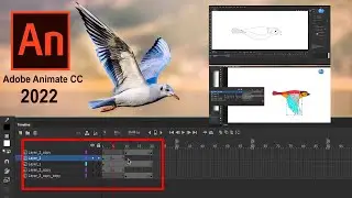 Easy How to Draw a Cartoon Bird and animation Tutorial - Adobe Animate 2022