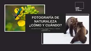 Cuándo y cómo fotografiar la vida animal a lo largo del año.