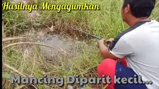 Mancing Diparit kecil ini..kita panen...