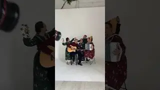 Пташица, новая фотосессия с песней под гармонь😍 