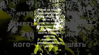 #мудрость #словасосмыслом #цитаты #