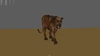 LION WALK