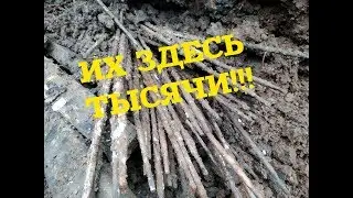 МЕДЬ + ЭЛЕКТРОДНЫЙ 