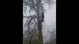 Немного поработал)  
