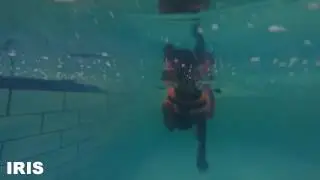GoPro doberman swim in in the pool
