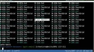Montreal Forced Aligner via command line