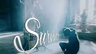 Merlin | Survivor