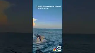 Dolphins Nearly Land On Boat After Jumping From Water!