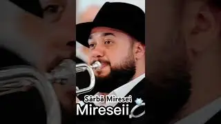 Sârba Miresei Radu Arap #nuntamoldova #raduarap #nunta #nunti ##muzica #nunta2024 #nuntaromania