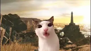 Majula cat eat lifegem