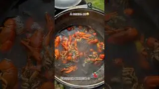 А пахне як😂🦞 #раки #food #ракиоки #живыераки #крабы #вареныераки #рецепты #moscow #еда #food