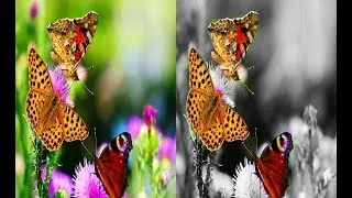photo shop tutorial | black  and white effects