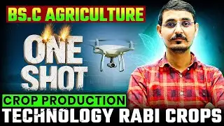 ONE SHOT CLASS CROP PRODUCTION TECHNOLOGY ( RABI CROPS ) BSC AGRICULTURE 