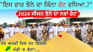 ਝੋਨੇ ਦਾ ਨਵਾਂ ਰੇਟ 2024 • paddy new price 2024 | agri advice