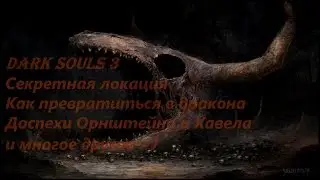 Dark Souls 3: Секретная локация, превращение в дракона, доспехи Орнштейна и Хавела и судьба Хоквуда
