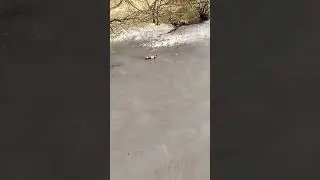 бесплатная кола?