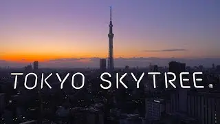 tokyo skytree | 🇯🇵 japan travel vlog