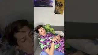 Кто больше страдает #shorts