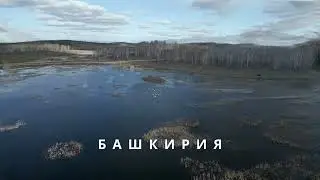 Башкирия. Лебеди.