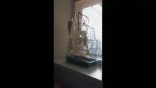 Лаврентий