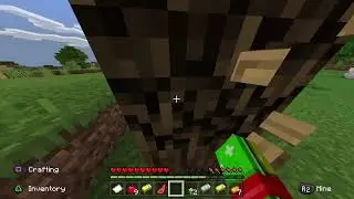 Minecraft Speedruns baby