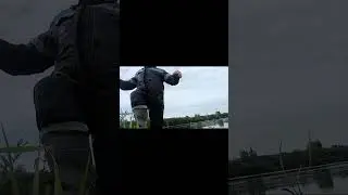 Эушта. 10.09.2024 г. Окуней 40 шт. на спиннинг Shimano.