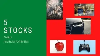 5 Stocks To Buy And Hold For 2020| Introducing Millennial Money Gainz
