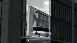 Os anos de 1950 na arte brasileira #vivieuvi #arte